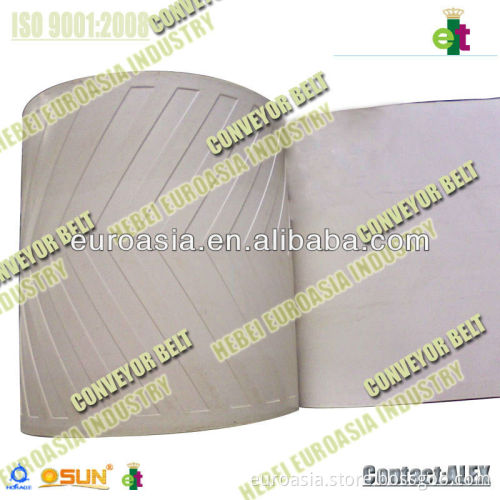 patterned conveyor belt